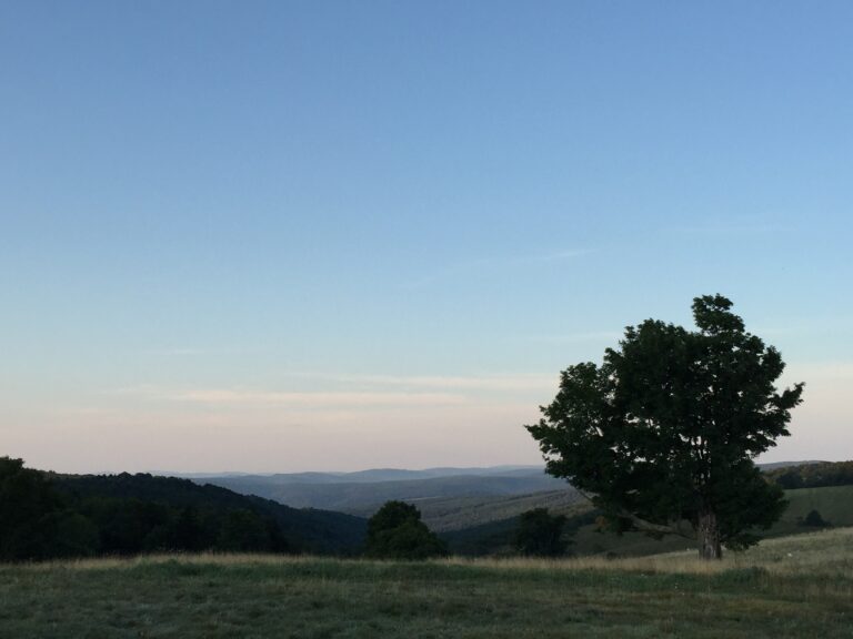 AHSP 2018 is SOLD OUT