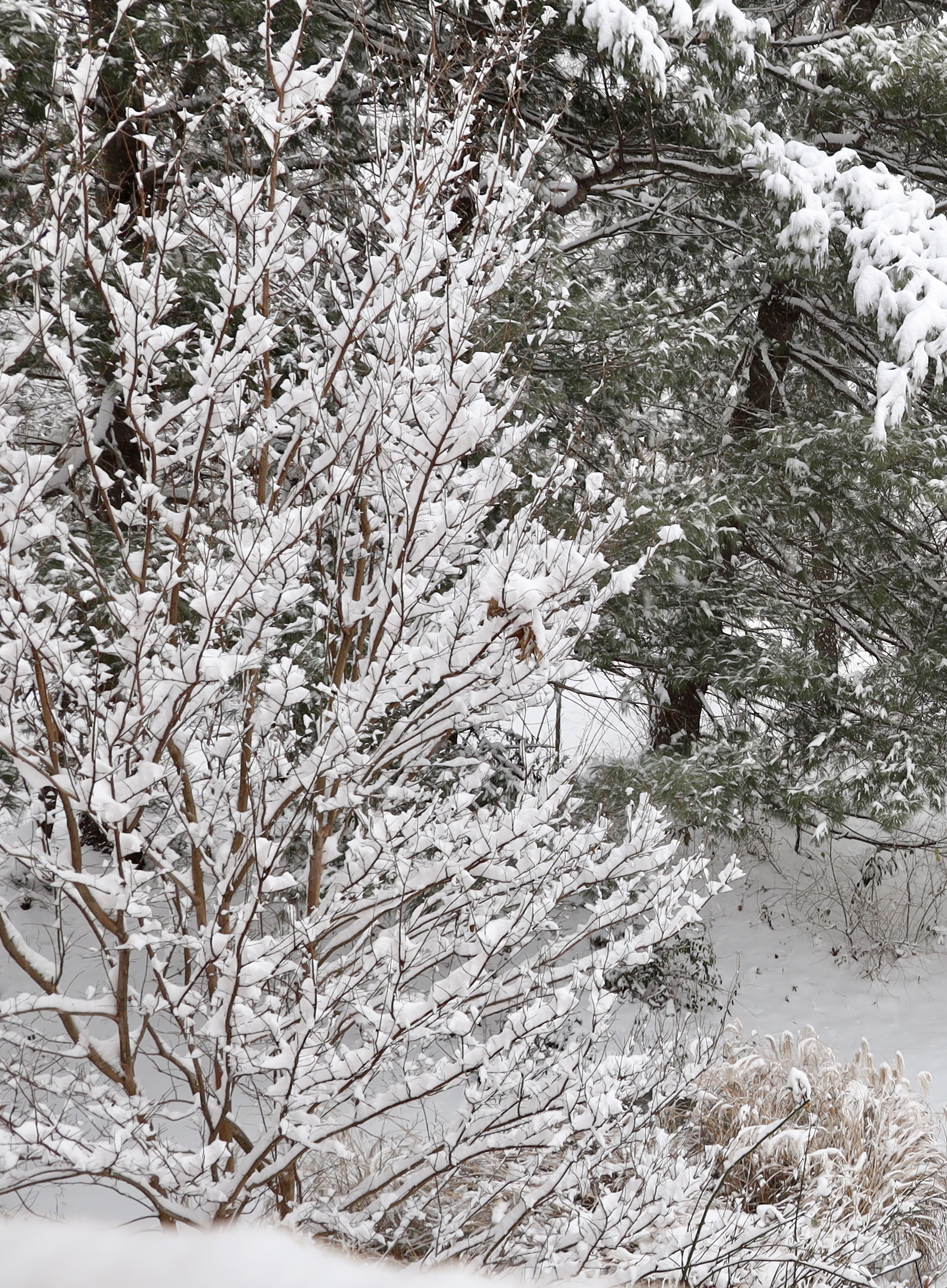 January Meeting Cancelled!