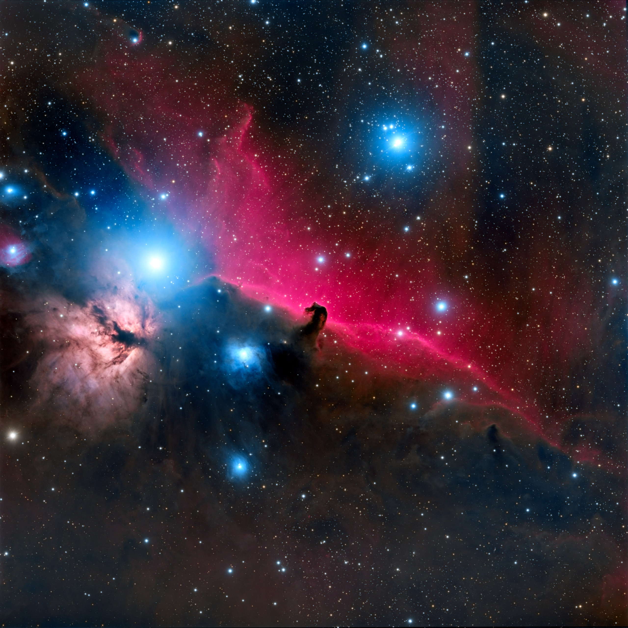 The Horsehead Nebula by Jeff McFarlin